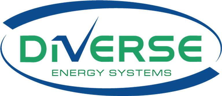 Diverse logo web